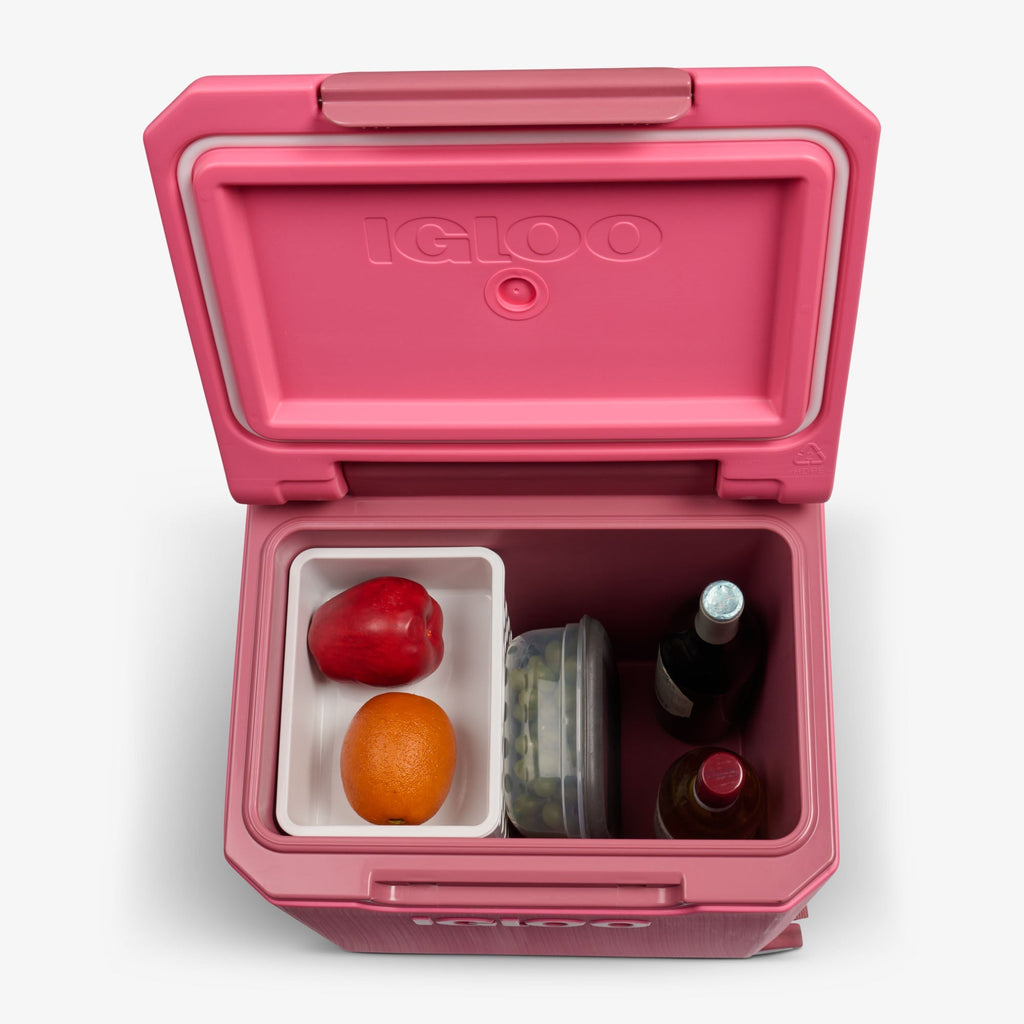 Tag Along Too Spinner Cooler