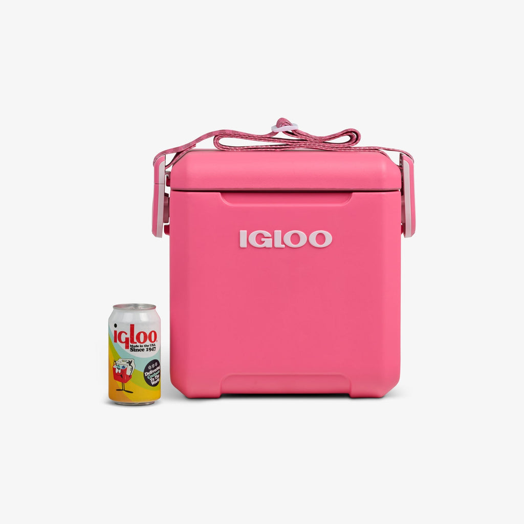 Tag Along Too Remix Cooler