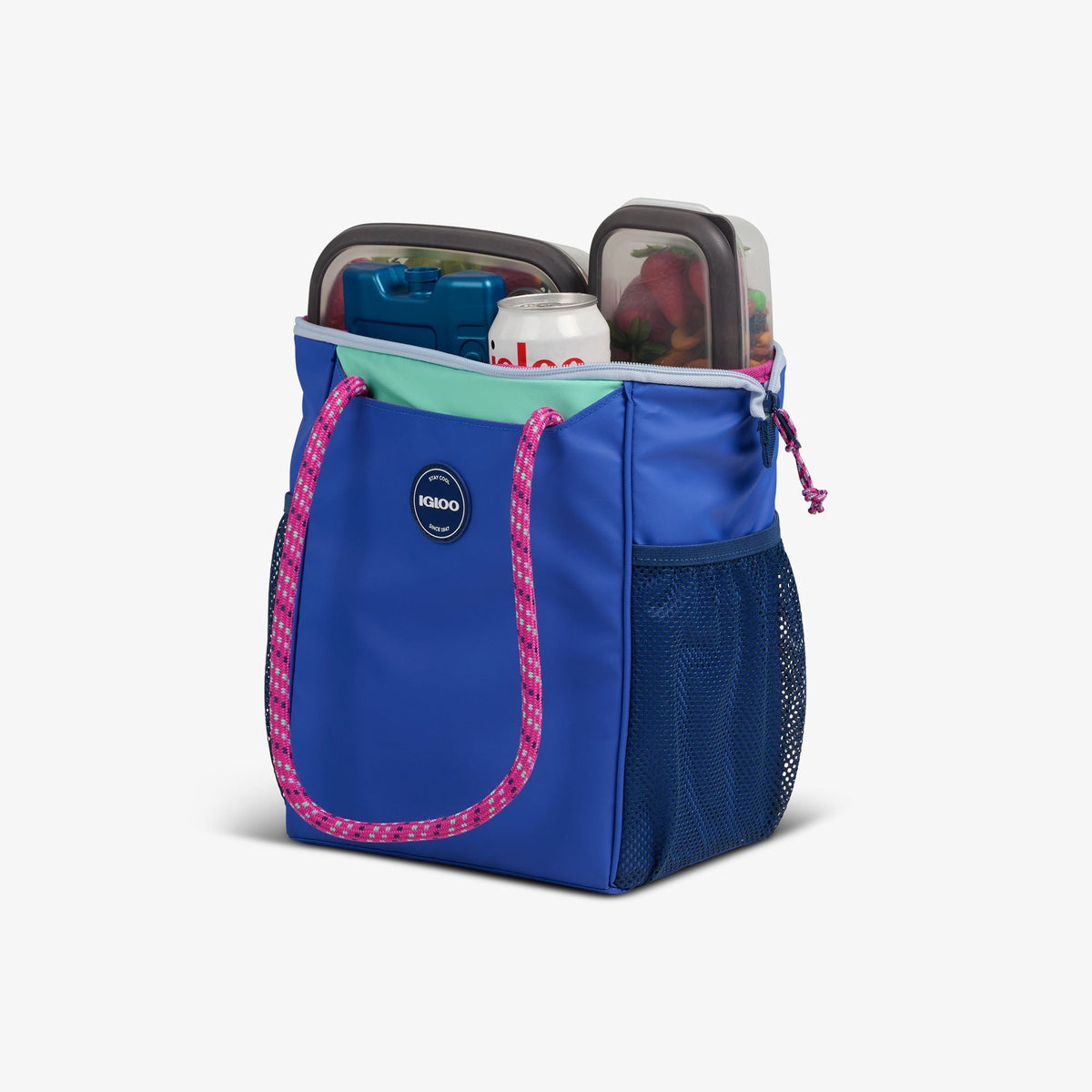 Summit 9-Can Tote
